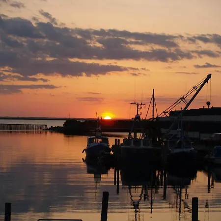 C11673-hemmet-horsfold-22 Holiday home Hemmet